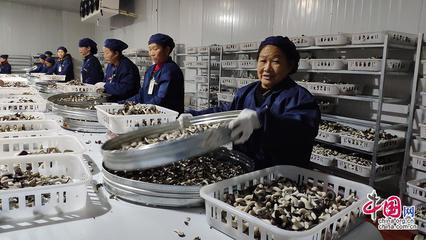 23省市2100余款產(chǎn)品齊聚全國菌博會(huì)，《中國食用菌產(chǎn)業(yè)年鑒》即將發(fā)布
